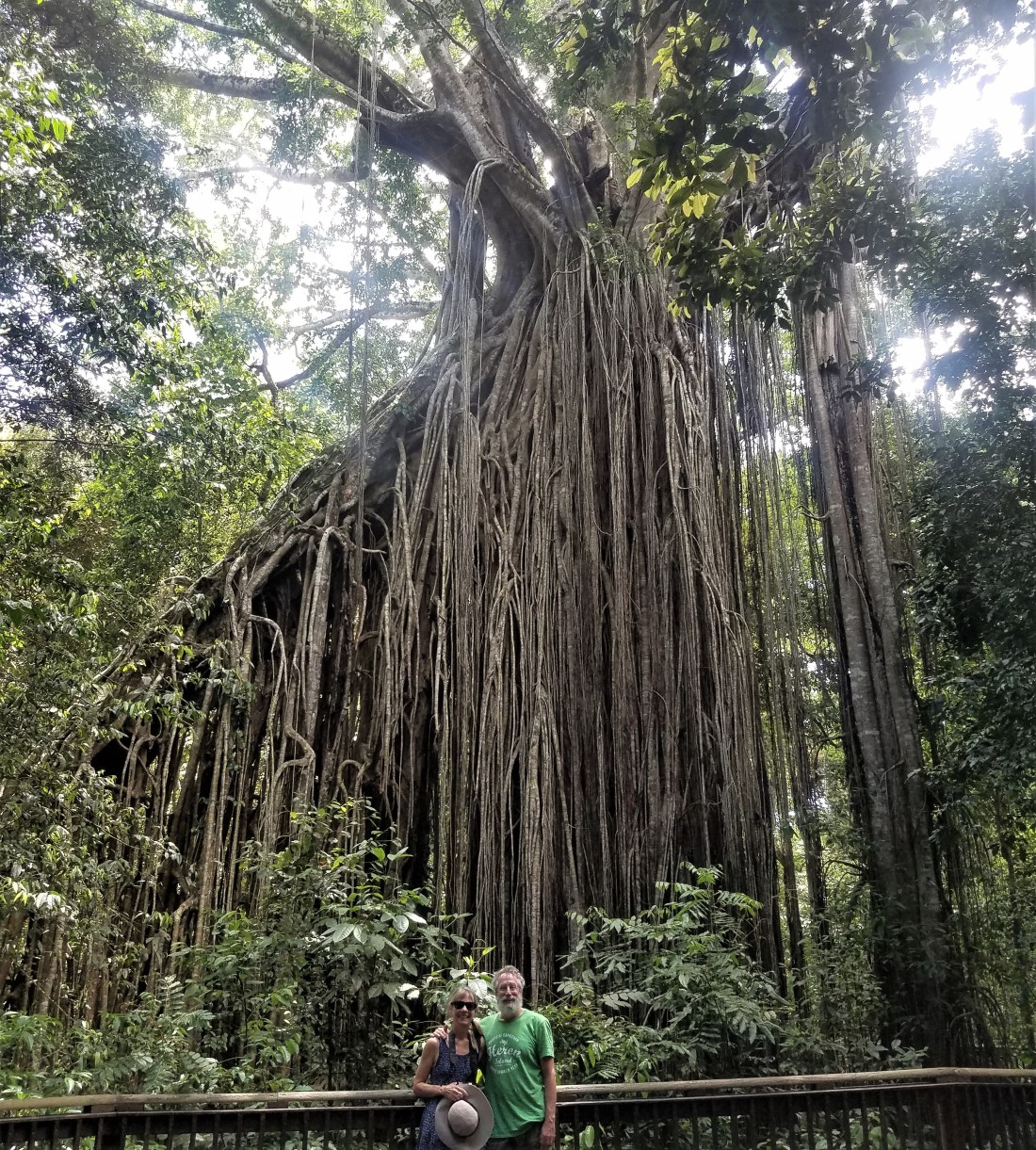 20190117_110702_001 (2)