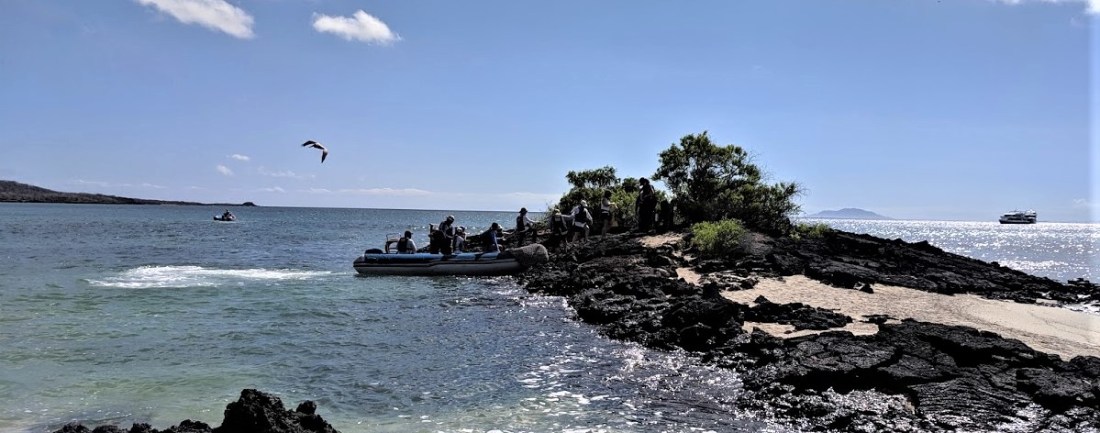 IMG_20190604_153402a