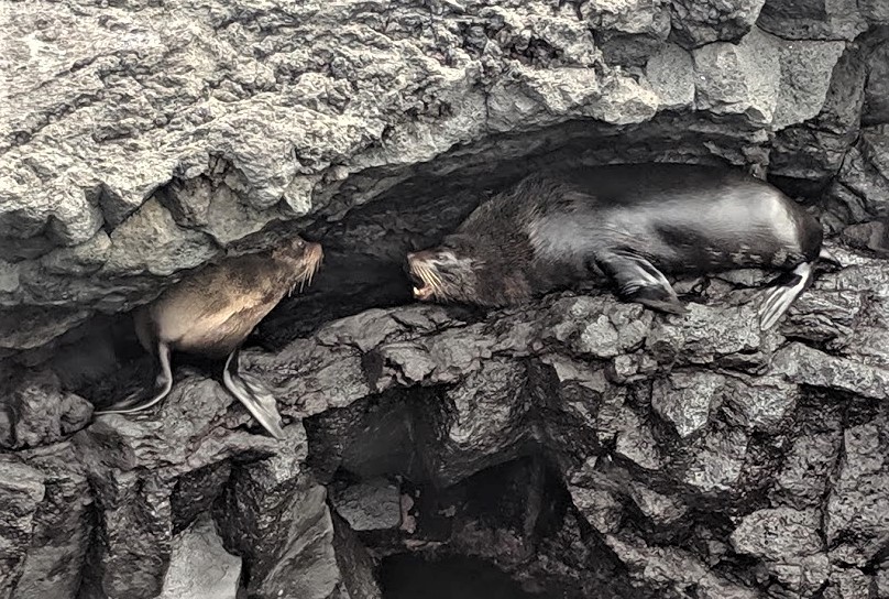 IMG_20190607_101613 a